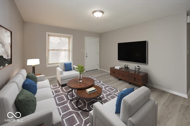 living room with light hardwood / wood-style floors