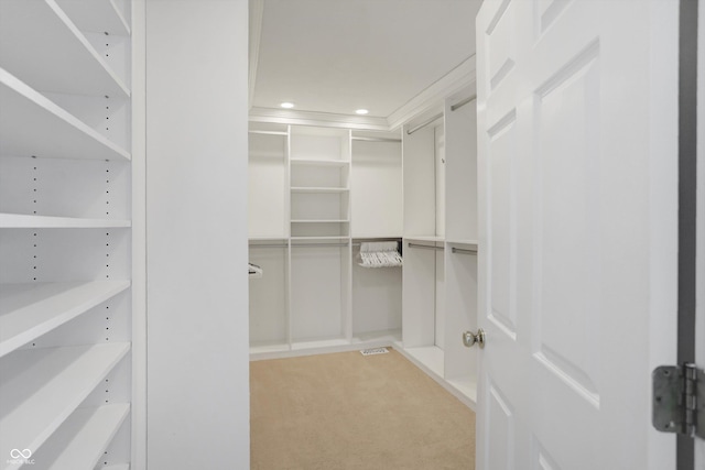 walk in closet with carpet