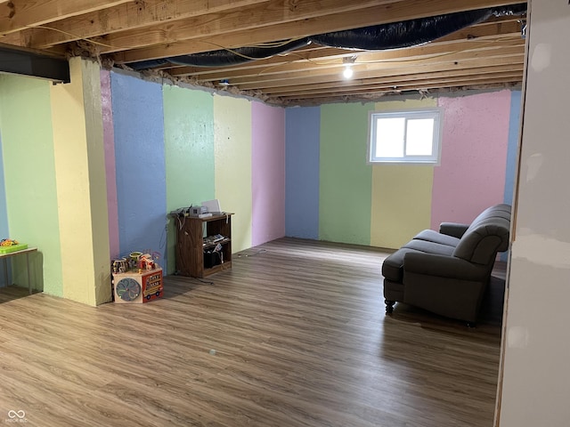 basement featuring hardwood / wood-style flooring