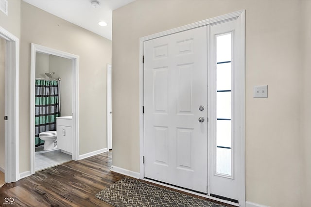 entryway featuring dark hardwood / wood-style flooring and plenty of natural light