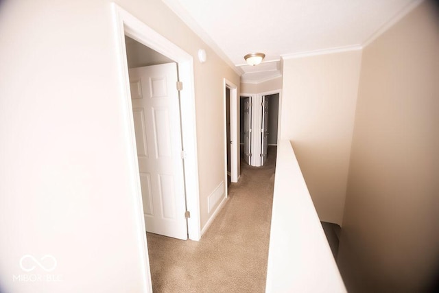 hall with crown molding and light colored carpet