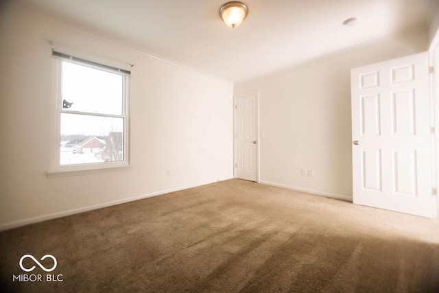 spare room featuring carpet flooring