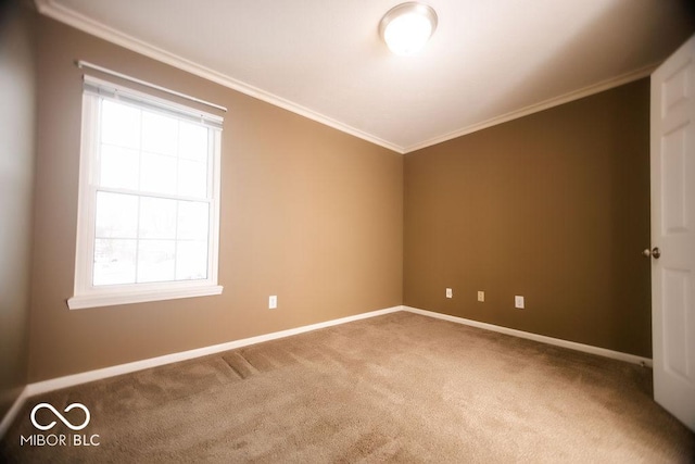 additional living space with a healthy amount of sunlight and carpet