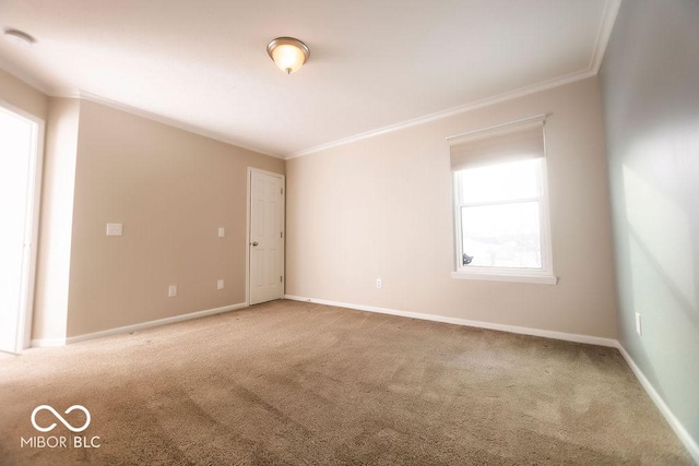 empty room featuring ornamental molding and carpet floors