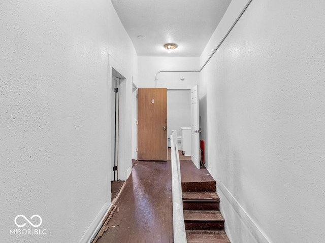 hall featuring dark wood-type flooring