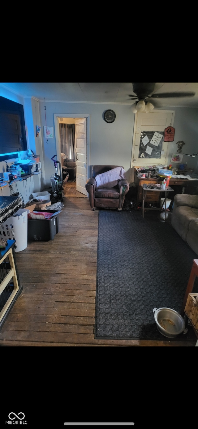 living room with ceiling fan and hardwood / wood-style flooring