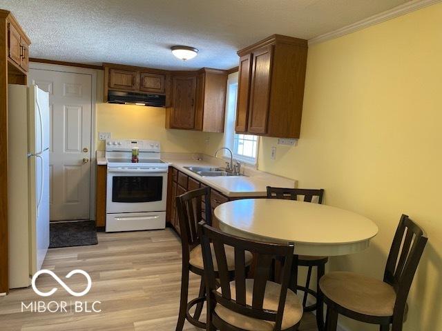 kitchen with a textured ceiling, white appliances, ventilation hood, sink, and light hardwood / wood-style floors