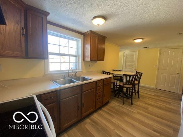 kitchen featuring sink, light hardwood / wood-style flooring, crown molding, a textured ceiling, and range