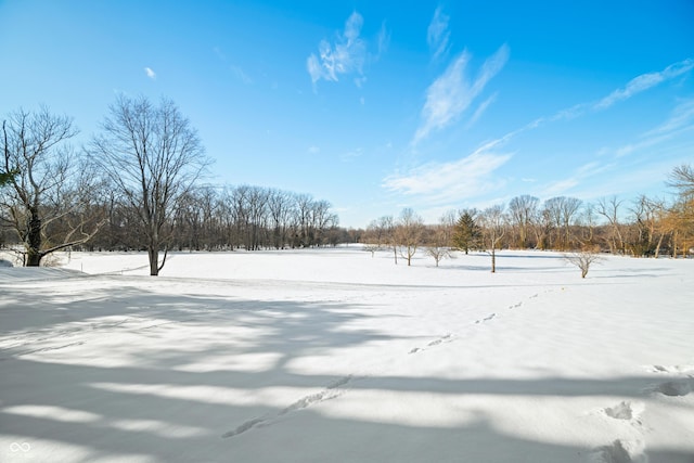 view of yard layered in snow