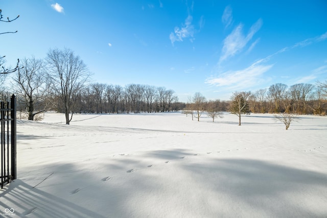 view of yard layered in snow