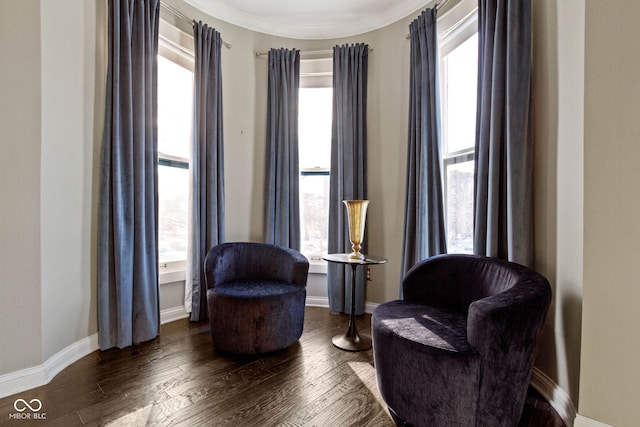 living area featuring dark hardwood / wood-style flooring, plenty of natural light, and ornamental molding