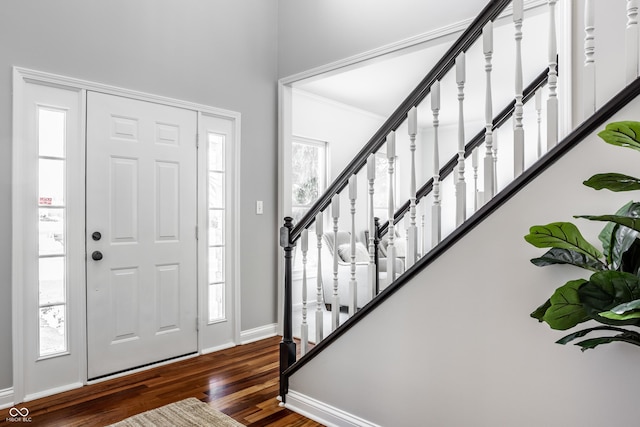 entryway with plenty of natural light and dark hardwood / wood-style floors