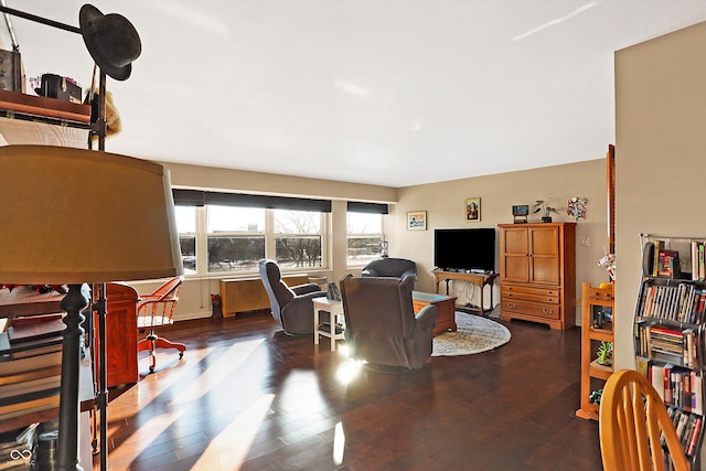 living room with dark hardwood / wood-style flooring