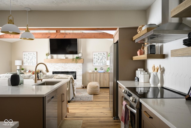 kitchen with light hardwood / wood-style flooring, decorative light fixtures, stainless steel appliances, ventilation hood, and sink