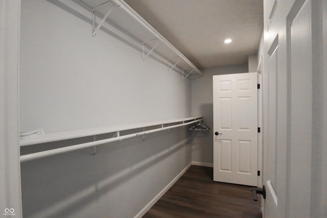 walk in closet featuring dark wood-type flooring