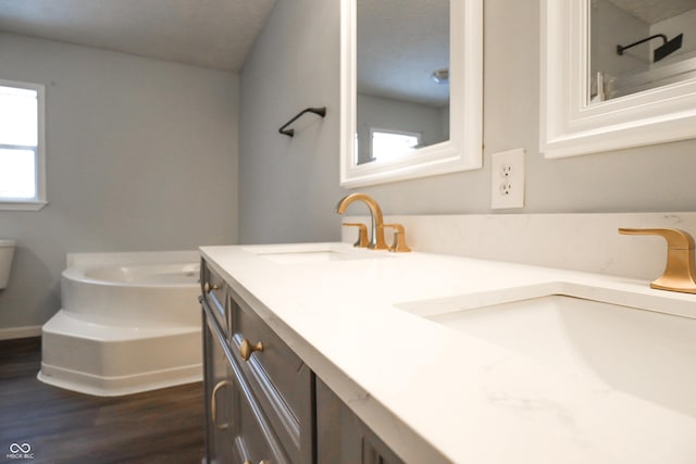 bathroom featuring hardwood / wood-style flooring, vanity, a bath, and toilet