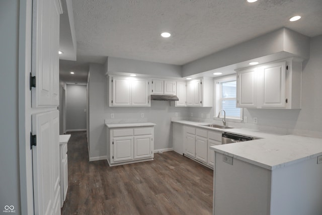 kitchen with white cabinetry, dark wood-type flooring, and sink