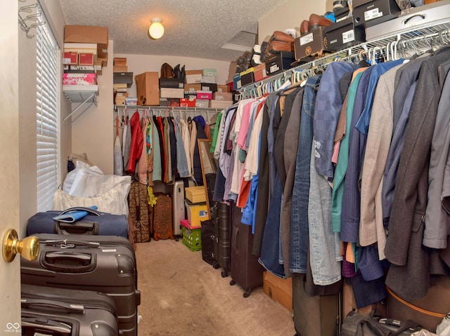 walk in closet featuring light carpet