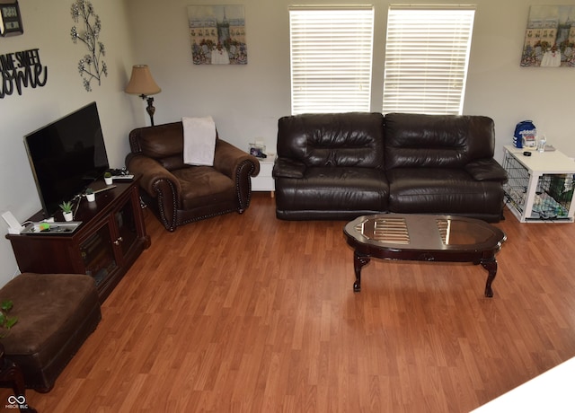 living room with wood-type flooring