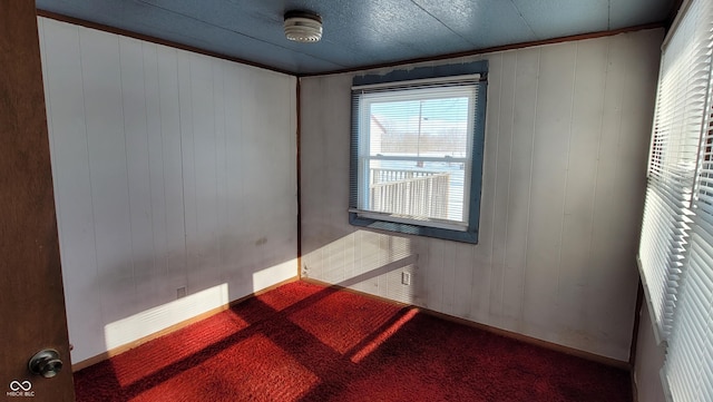 carpeted spare room featuring wood walls and crown molding