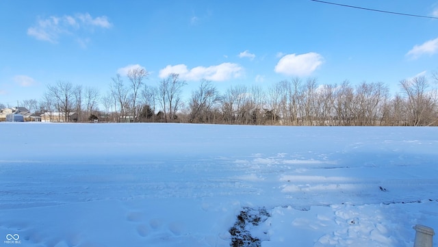 view of yard layered in snow