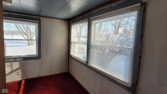 empty room featuring wood walls and plenty of natural light