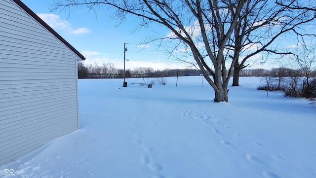 view of yard layered in snow