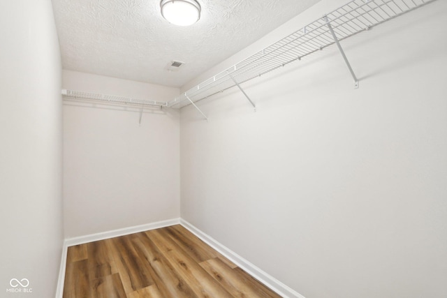 spacious closet with wood-type flooring