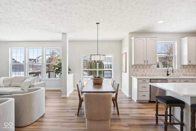 interior space featuring tasteful backsplash, pendant lighting, white cabinets, and stainless steel dishwasher