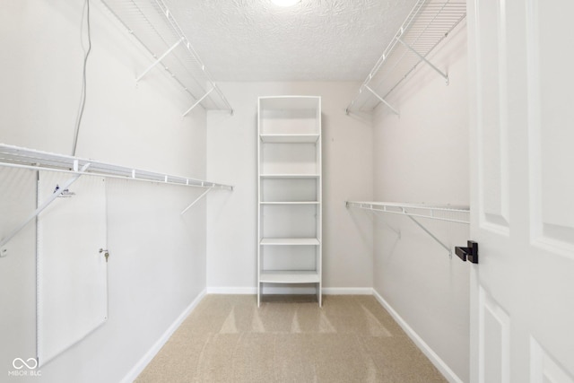 spacious closet featuring light carpet