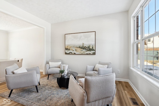 sitting room with hardwood / wood-style floors