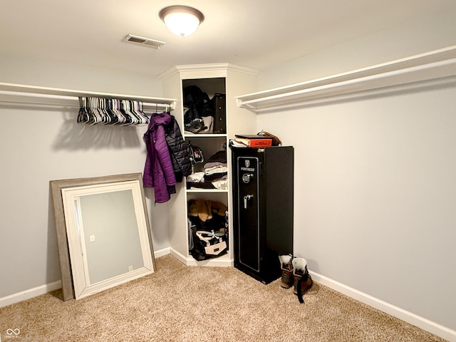 spacious closet with light carpet