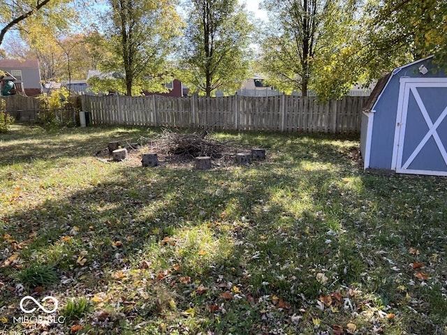 view of yard with a shed