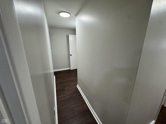 corridor with dark wood-type flooring