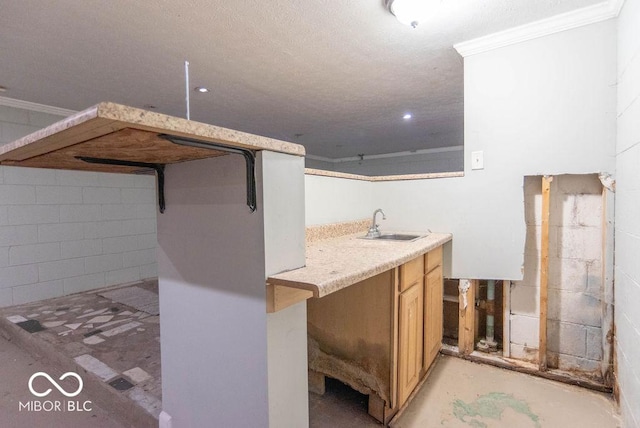 interior space featuring crown molding and sink