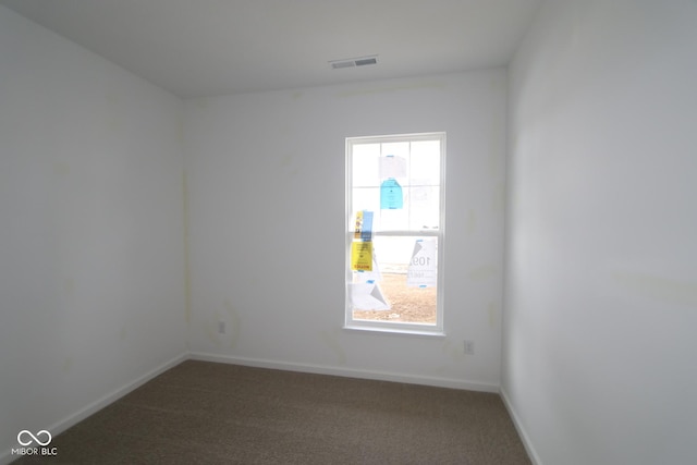 carpeted spare room with a wealth of natural light