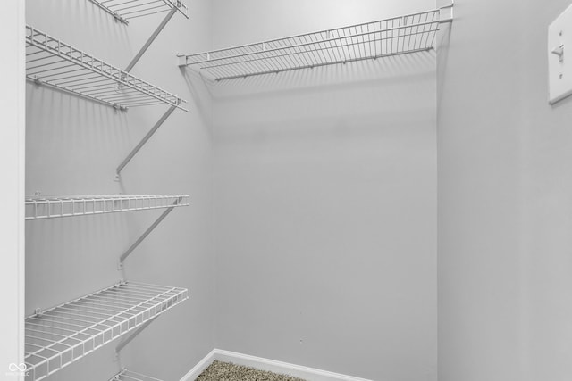 4652 Kimmeridge Ln, Indianapolis, IN 46254 - view of walk in closet