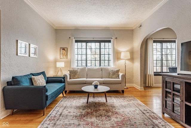 living room with a textured ceiling, light hardwood / wood-style floors, and crown molding