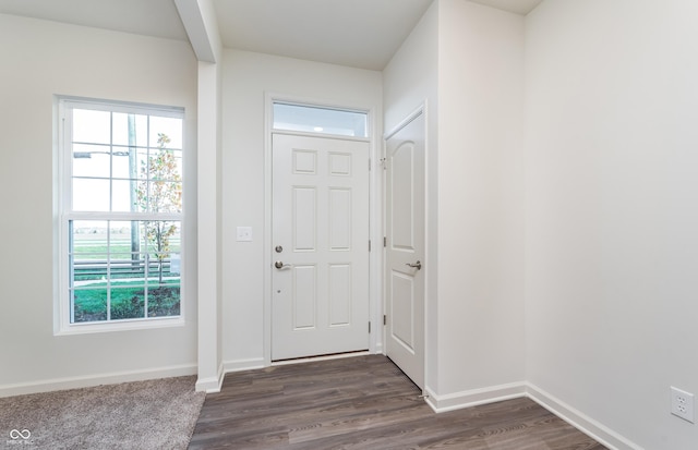 entryway with a healthy amount of sunlight and dark hardwood / wood-style flooring