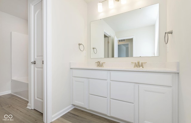 bathroom with vanity and wood-type flooring