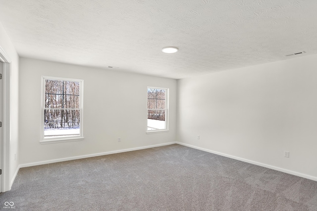 spare room with carpet flooring and a textured ceiling