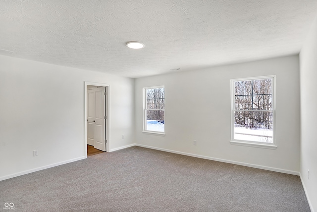 unfurnished room with carpet flooring and a textured ceiling