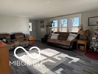 living room featuring dark hardwood / wood-style floors