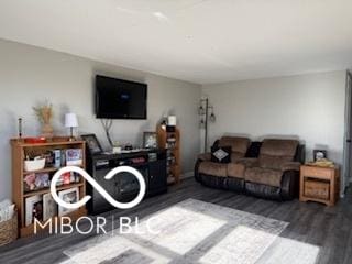 living room with dark hardwood / wood-style flooring