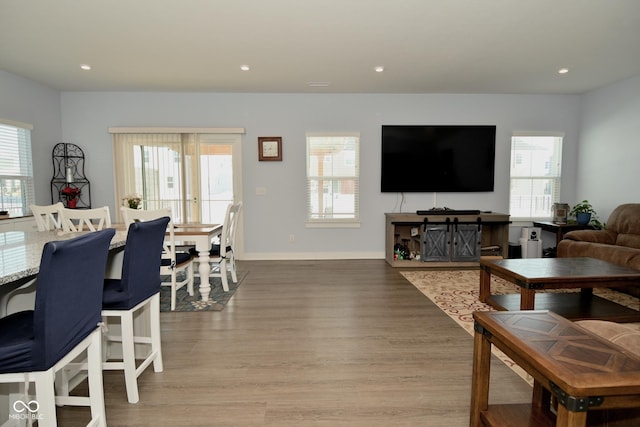 living room with hardwood / wood-style floors and a healthy amount of sunlight