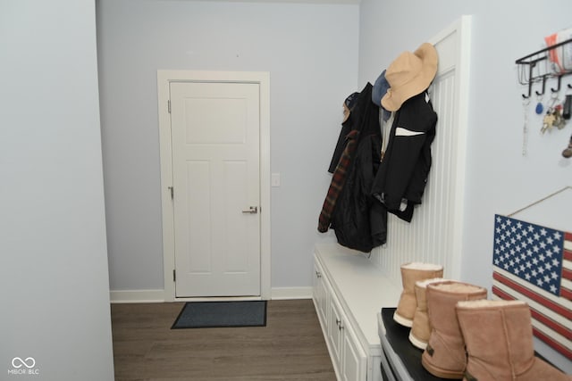 mudroom featuring dark wood-type flooring