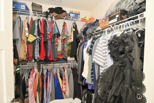 view of spacious closet