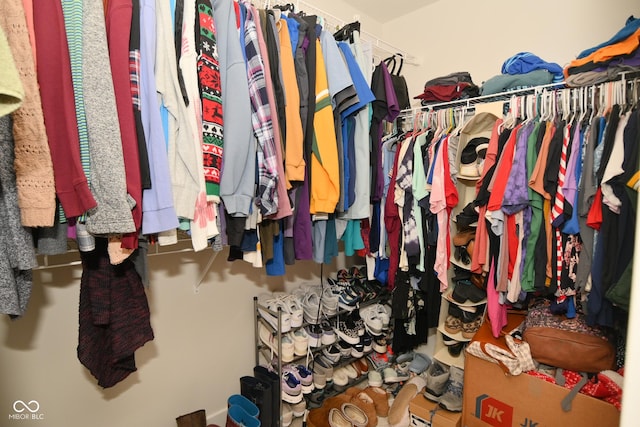 view of spacious closet