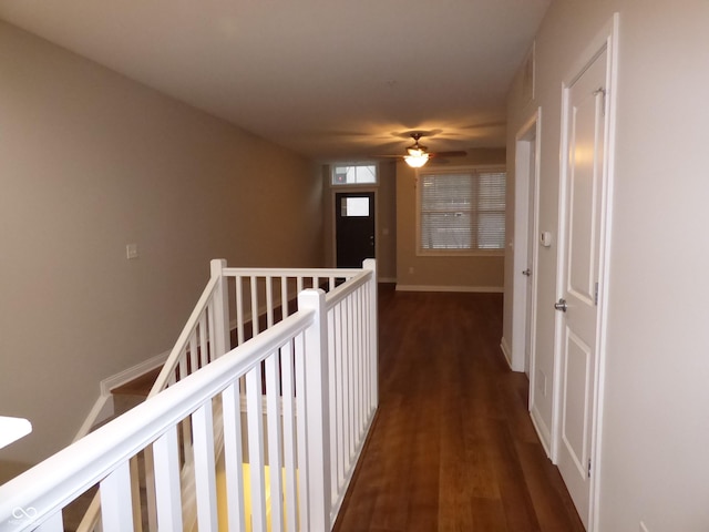 corridor with dark hardwood / wood-style floors