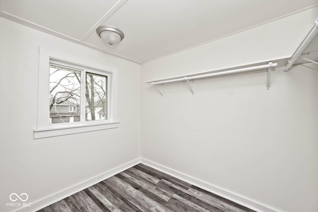 walk in closet featuring wood-type flooring